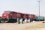 CP 8707 East